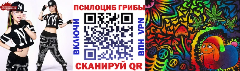 Псилоцибиновые грибы Psilocybine cubensis  Северская 